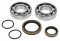 Crankshaft bearing kit All Balls Racing