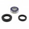 Head bearing kit with shaft seal All Balls Racing