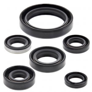 Engine Oil Seal Kit WINDEROSA