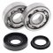 Crankshaft bearing kit All Balls Racing